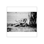 Lioness stretting 	rubberstempel (Afrduk)