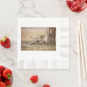 Lioness stretting servet (Insitu)