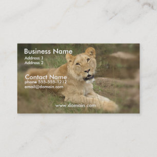 Lioness Visitekaartje