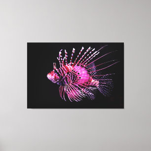 Lionfish 12 x 12 inch, 1,5 inch, Single Canvas Afdruk