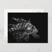 Lionfish - Carte postale (Devant / Derrière)