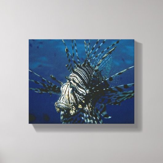Lionfish in de oceaan Canvas Afdruk (Voorkant)