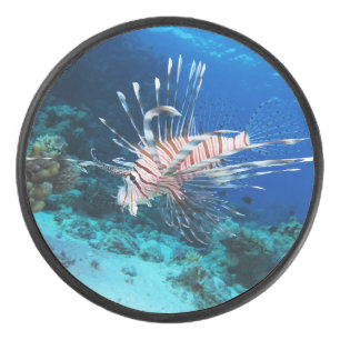 Lionfish of Pterois Miles, Ocean Reef Fish Hockey Puck