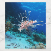 Lionfish of Pterois Miles, Ocean Reef Fish Wijn Etiket (Enkel label)