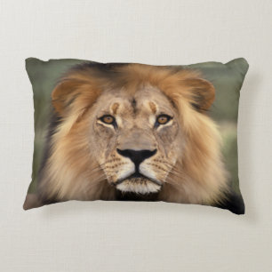 Lionfoto Decoratief Kussen