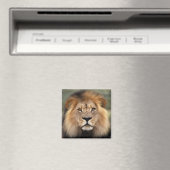 Lionfoto Magneet (Insitu (Vaatwasser))