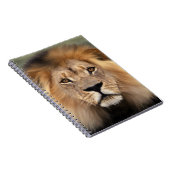 Lionfoto Notitieboek (Rechterzijde)