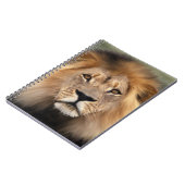 Lionfoto Notitieboek (Linkerzijde)