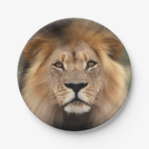 Lionfoto Papieren Bordje