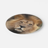 Lionfoto Papieren Bordje (Gekanteld)
