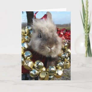 Lionhead Bunny Kerstmis Feestdagen Kaart