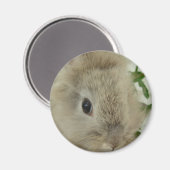 Lionhead Bunny Magneet (Voorkant / Achterkant)