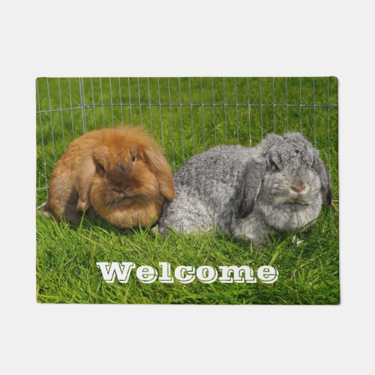Lionhead Holland Mini Lop Bunny Rabbit Deurmat (Voorkant)