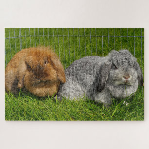 Lionhead Holland Mini Lop Bunny Rabbit Legpuzzel