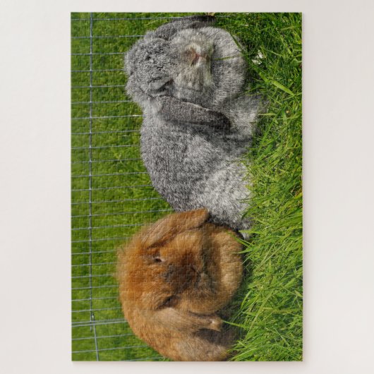 Lionhead Holland Mini Lop Bunny Rabbit Legpuzzel (Verticaal)