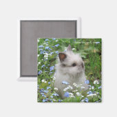 Lionhead konijn magneet (Voorkant / Achterkant)