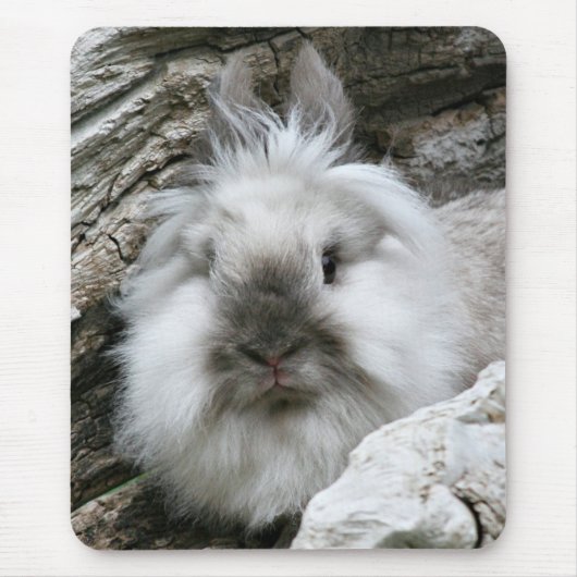 Lionhead Rabbit Muismat (Voorkant)