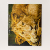 Lionnes Grands Félins. Puzzle (Vertical)
