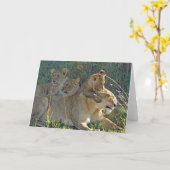 LIONNEUR AVEC TROIS CUBS carte de voeux (Fleur jaune)