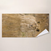 LIONNEUR DANS LA GRASSE (Serviette de bain)