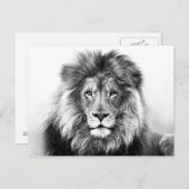 Lionontwerp Briefkaart (Voorkant / Achterkant)