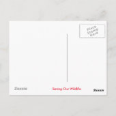 Lionontwerp Briefkaart (Achterkant)