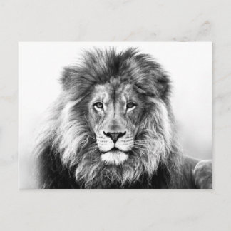 Lionontwerp Briefkaart