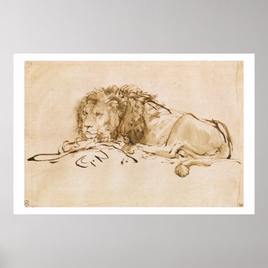 Lionrust (pen en inkt op papier) poster (Voorkant)