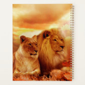 Lions (Dos)