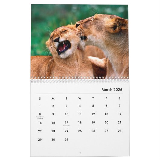 Lions [1] Calendrier mural (Mar 2026)