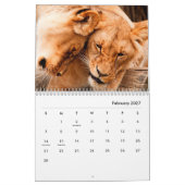 Lions [2] Calendrier mural (Feb 2027)