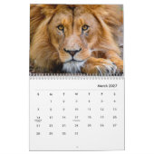 Lions [2] Calendrier mural (Mar 2027)