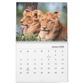 Lions [2] Calendrier mural (Jan 2026)