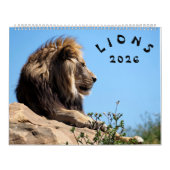 Lions Calendrier (Protection)