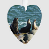 Lions de la mer de San Diego (devant)