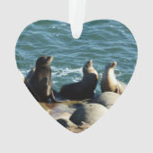 Lions de la mer de San Diego (dos)