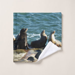 Lions de la mer de San Diego