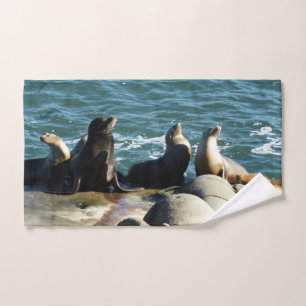 Lions de la mer de San Diego