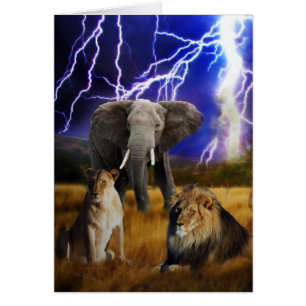 Lions Elephant Afrique du Sud