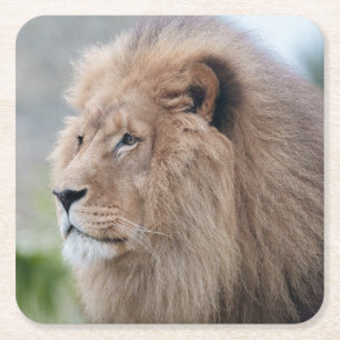 Lion's Embrace Vierkante Kartonnen Onderzetter