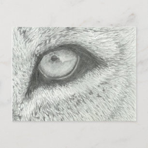 Lion's Eye BRIEFKAART