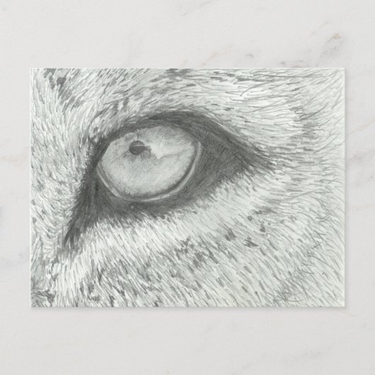Lion's Eye |  BRIEFKAART (Voorkant)