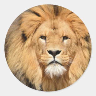 Lions Head Ronde Sticker