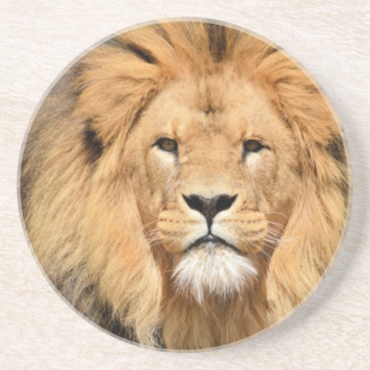 Lions Head Zandsteen Onderzetter (Voorkant)