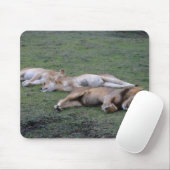 Lions Napping - Mousepad Muismat (Met muis)