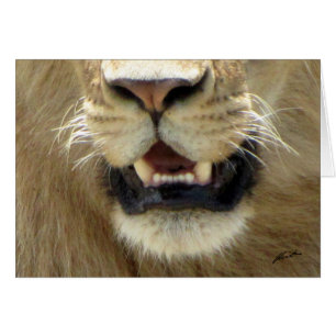 Lion's Nose & Mouth (Masai Mara)