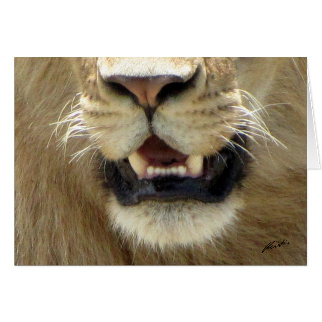 Lion's Nose & Mouth (Masai Mara) (Voorkant Horizontaal)