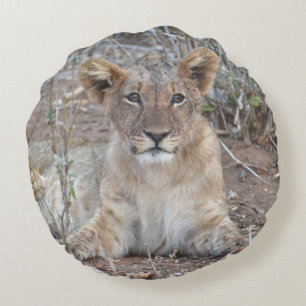 Lions partout Coussin