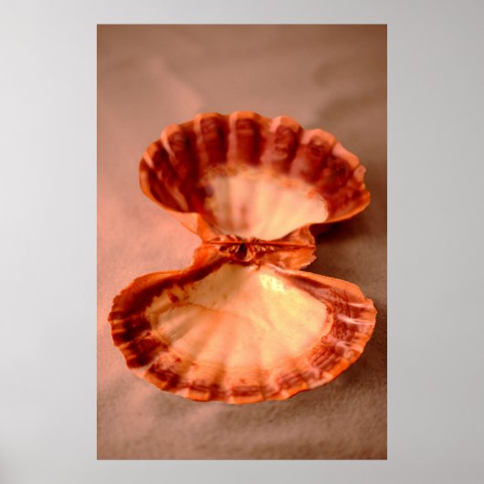 Lions Paw Poster (Voorkant)