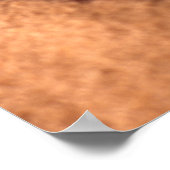 Lions Paw Poster (Hoek)